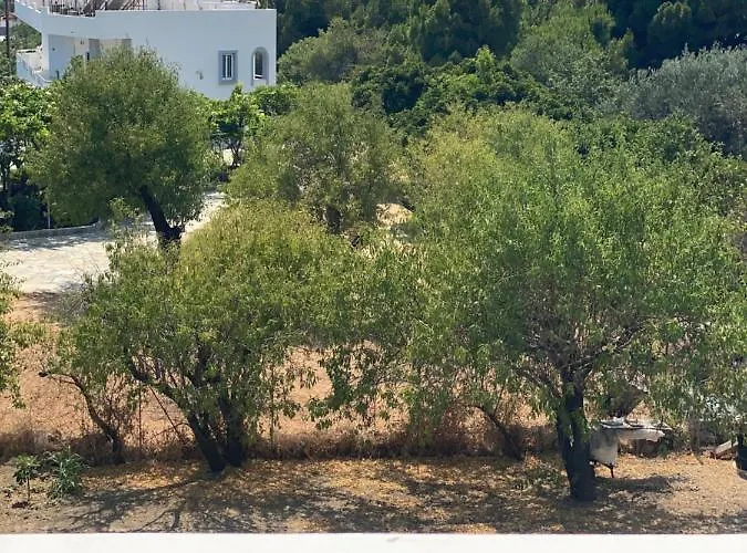 Πανσιόν Peacock *