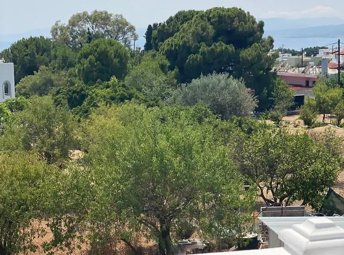 Peacock Guest house *