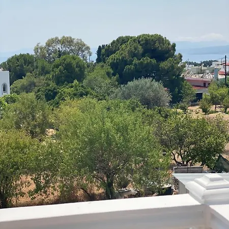 Peacock بيت ضيافة *